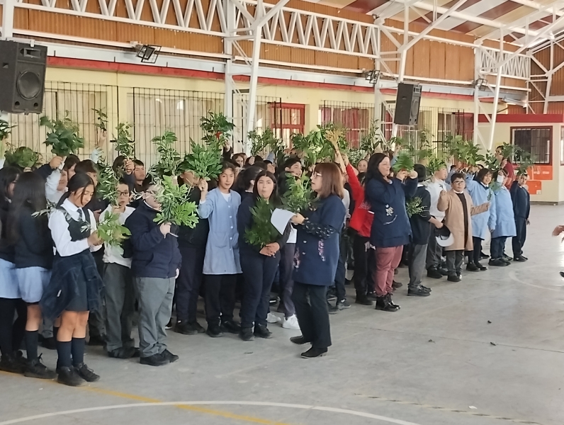 Celebración Domingo de Ramos